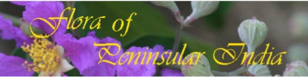 Flora of peninsular India