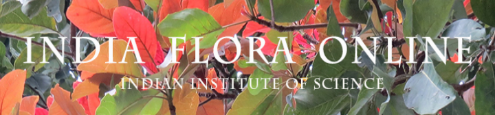 India Flora Online